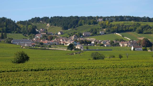 Volnay vineyards