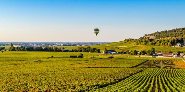 Vineyard of Savigny-lès-Beaune