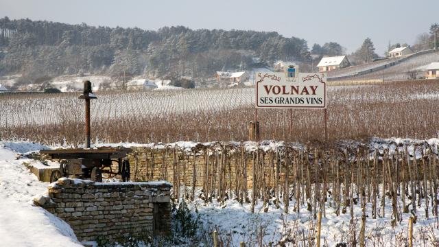 Volnay Hiver