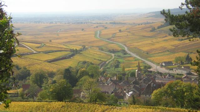 Vue Pernand Automne