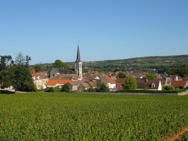 Vista de Santenay