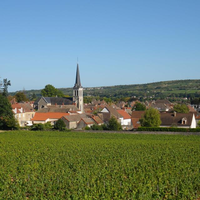 Vista de Santenay