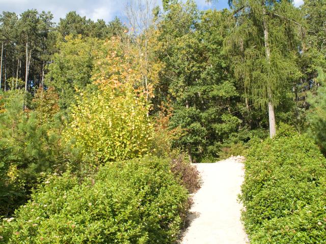 Chemin Montagne Beaune