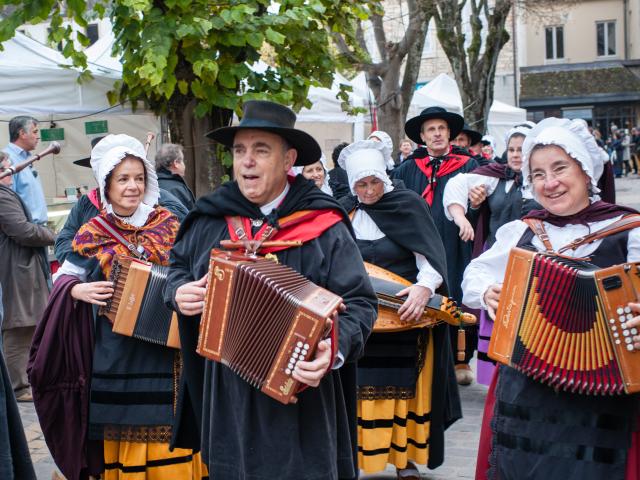 vdv-folklore-accordeon