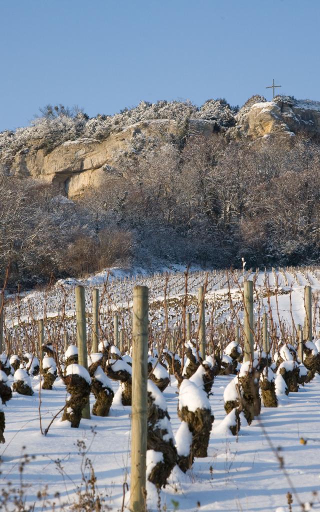 Vignes de Nolay en Hiver