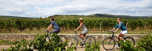 way-of-the-vines-burgundy-velo-14