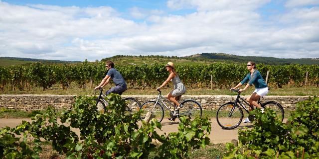 Voie Des Vignes Bourgogne Velo 14