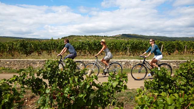 way-of-the-vines-burgundy-velo-14