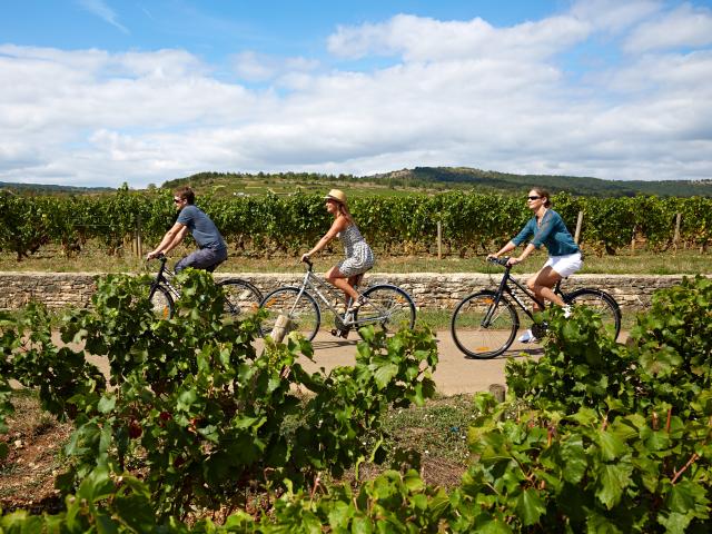 way-of-the-vines-burgundy-velo-14