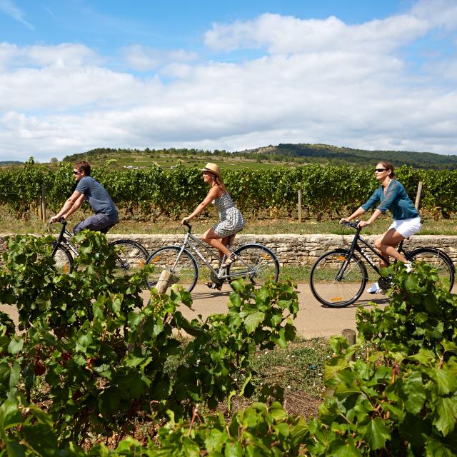 Voie Des Vignes Bourgogne Velo 14