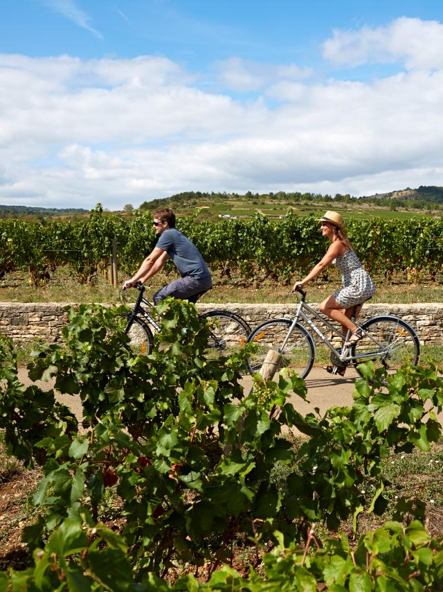 Voie Des Vignes Bourgogne Velo 14