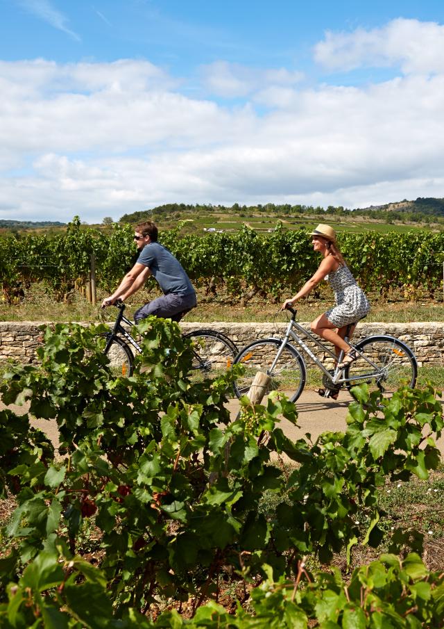 way-of-the-vines-burgundy-velo-14