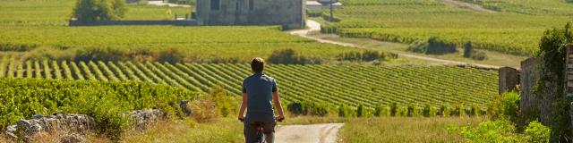 voie-des-vignes-bourgogne-velo-30