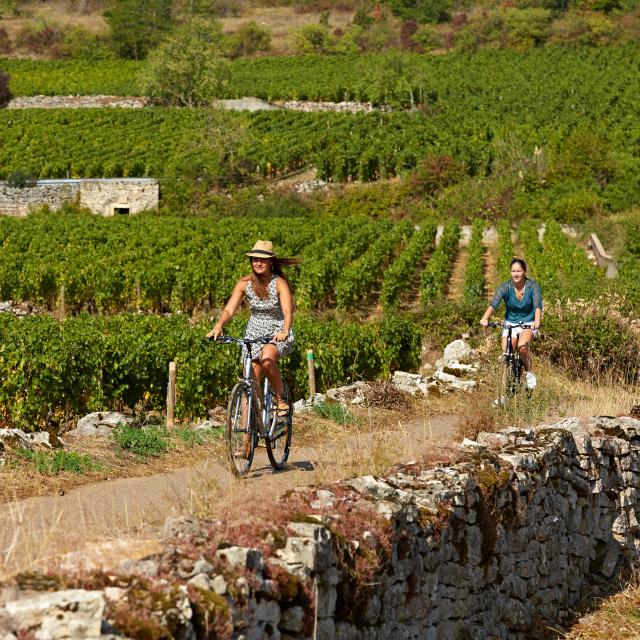 voie-des-vignes-bourgogne-velo-31