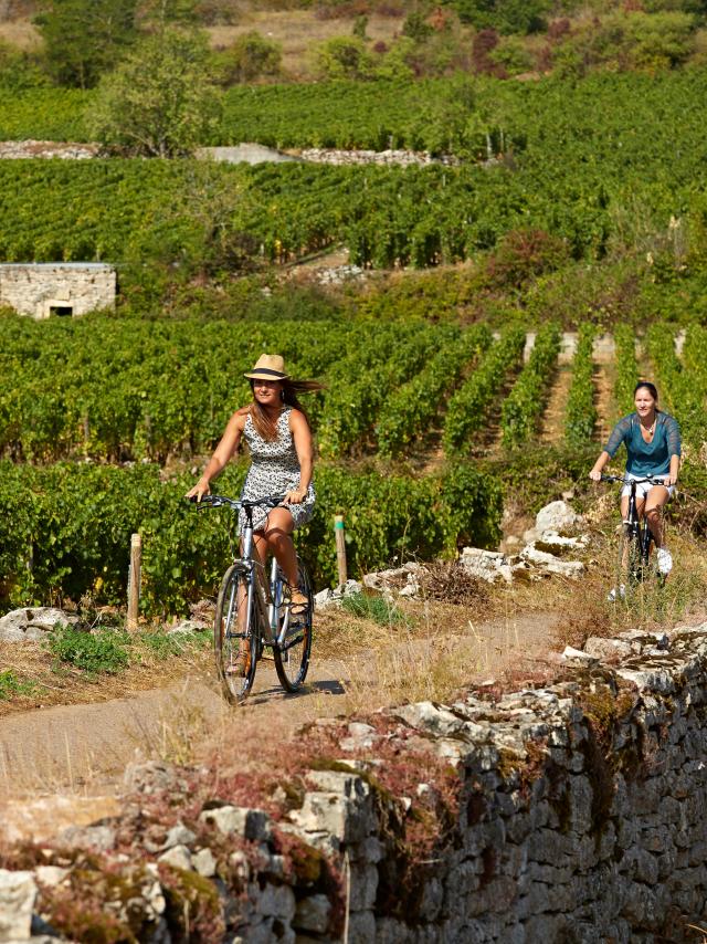 Voie Des Vignes Bourgogne Velo 31