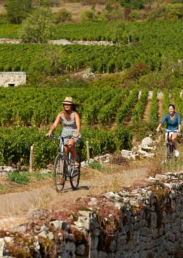 Voie Des Vignes Bourgogne Velo 31