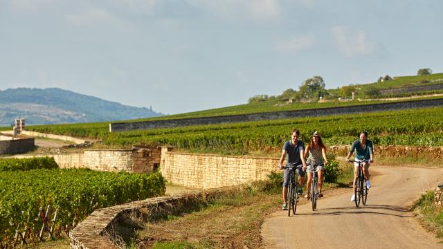 Voie Des Vignes Bourgogne Velo 33