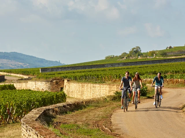 voie-des-vignes-bourgogne-velo-33