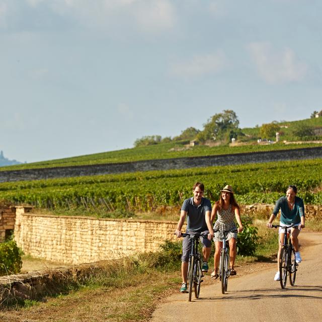 voie-des-vignes-bourgogne-velo-33