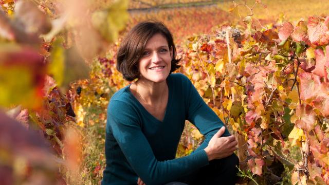 Ludivine griveau © Domaine viticole Hospices Civils de Beaune