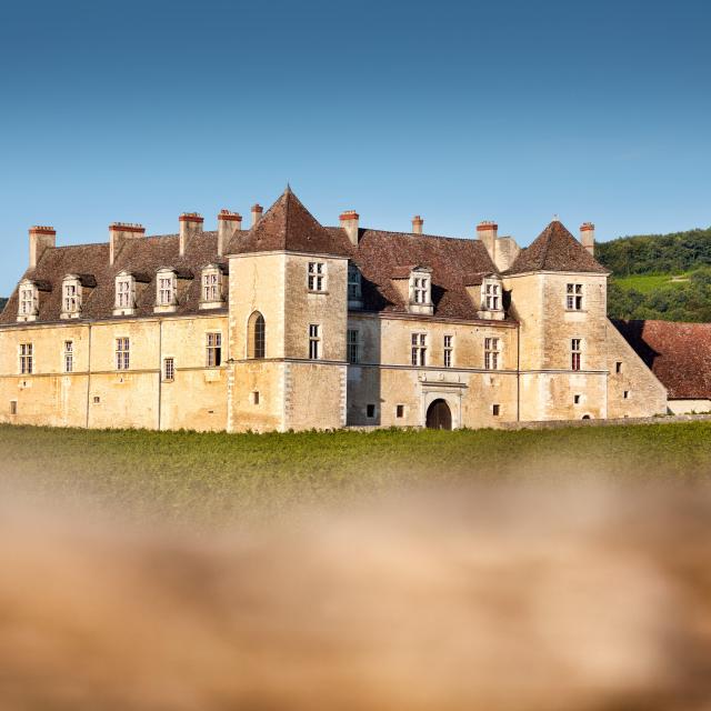 Chateau Clos De Vougeot