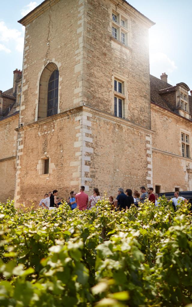 Chateau Clos De Vougeot Vignes