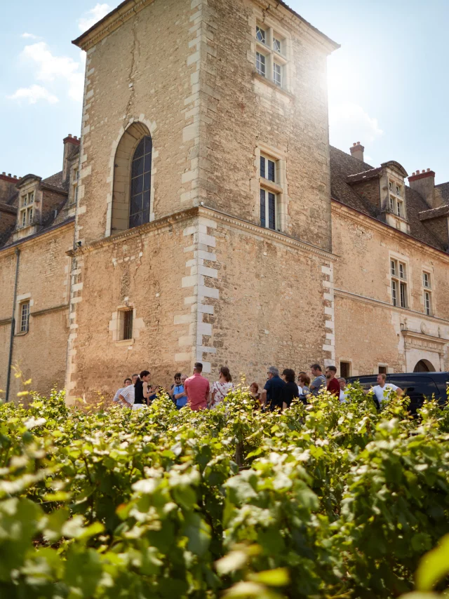 chateau-clos-de-vougeot-vignes