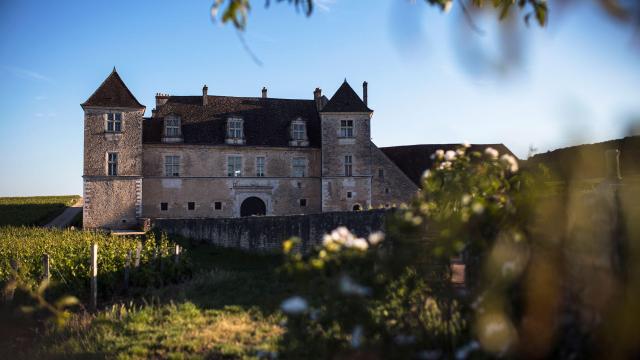 clos-de-vougeot