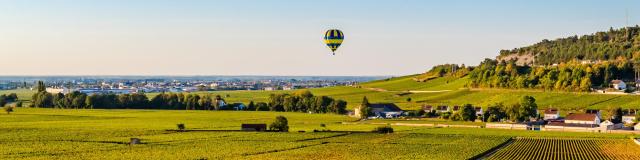 Montgolfière dans les Vignes