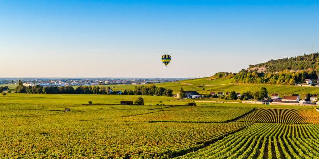 Montgolfière dans les Vignes