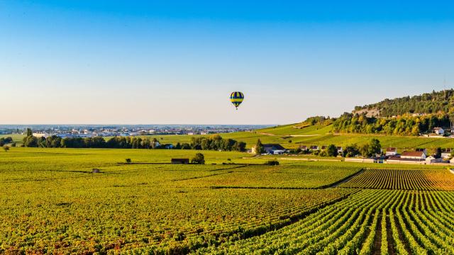 montgolfiere-vignes-ete