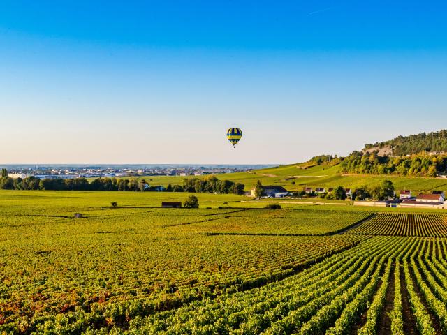 montgolfiere-vignes-summer