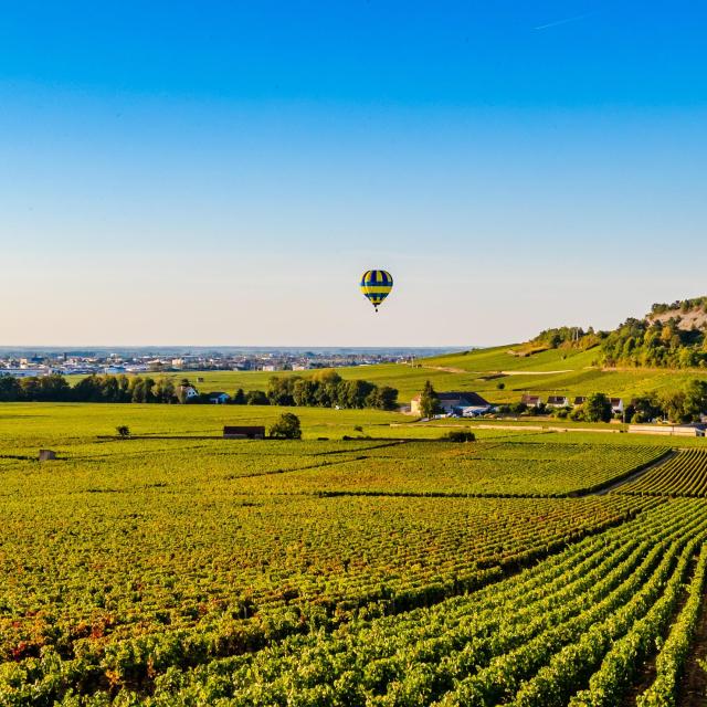 montgolfiere-vignes-ete