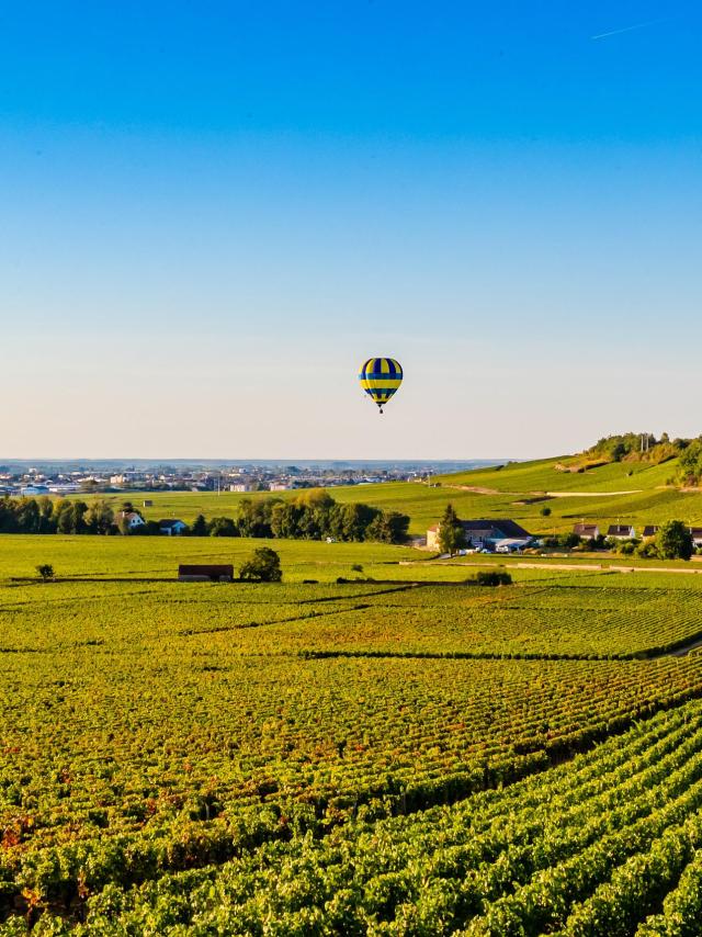 montgolfiere-vignes-ete