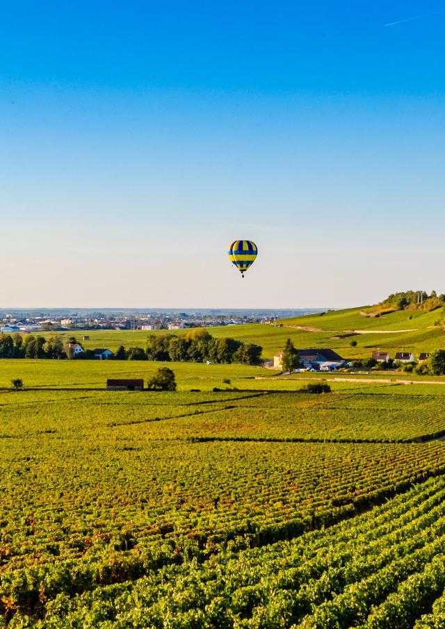 Montgolfière dans les Vignes