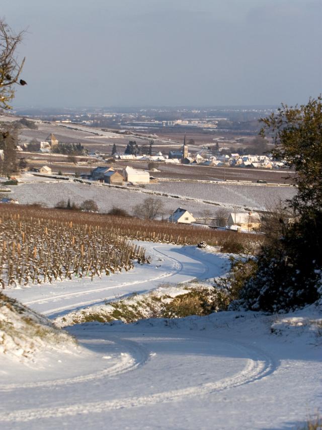 Neige Santenay