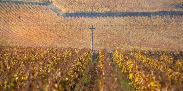 Paysage dans le vignoble de la Côte de Nuits : Romanée-Conti en automne