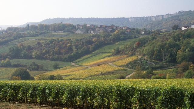 saint-romain-vigne