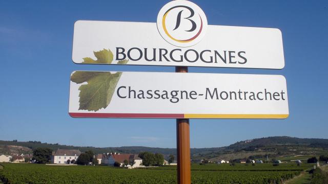 chassagne-montrachet-panel