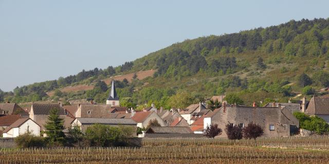 chassagne-montrachet-village