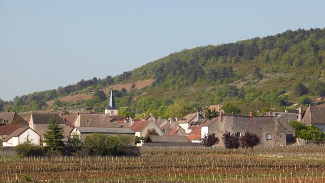 Chassagne Montrachet Village