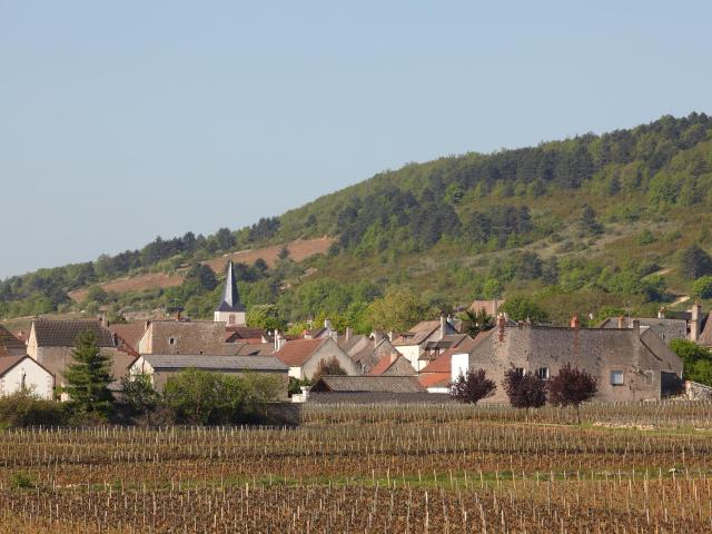 Chassagne Montrachet Village