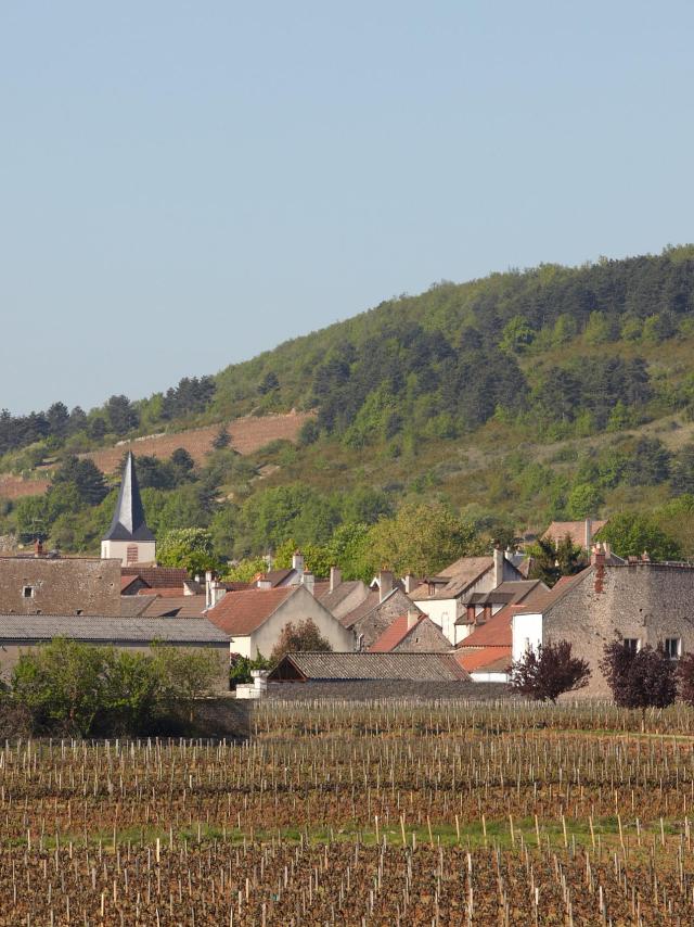 chassagne-montrachet-village