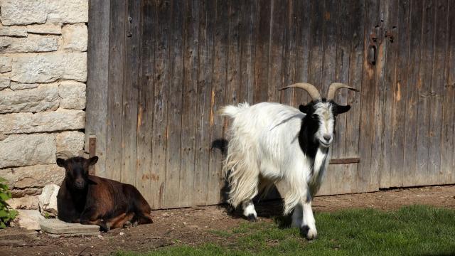 Chevigny Chevres