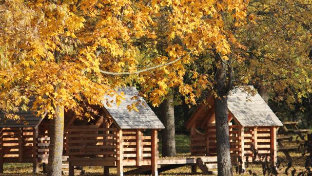 Etang Maison Bois