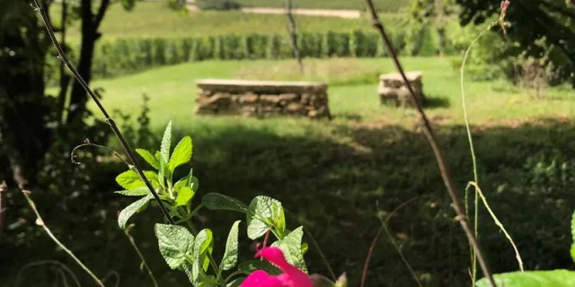 Jardin Charrons Meursault