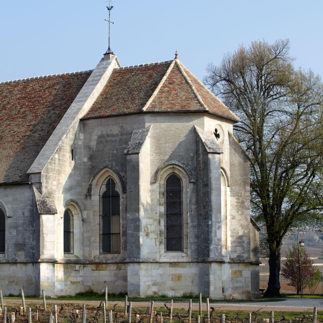 Ladoix Serrigny Eglise