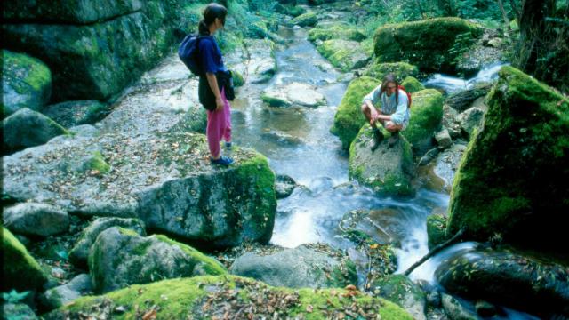 Les Maranges Rando Riviere - Dezize les Maranges