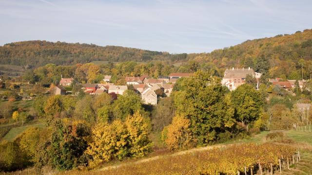 mavilly-mandelot-vignobles-automne