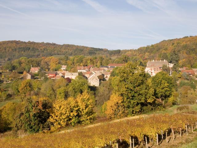 Mavilly Mandelot Vignobles Automne